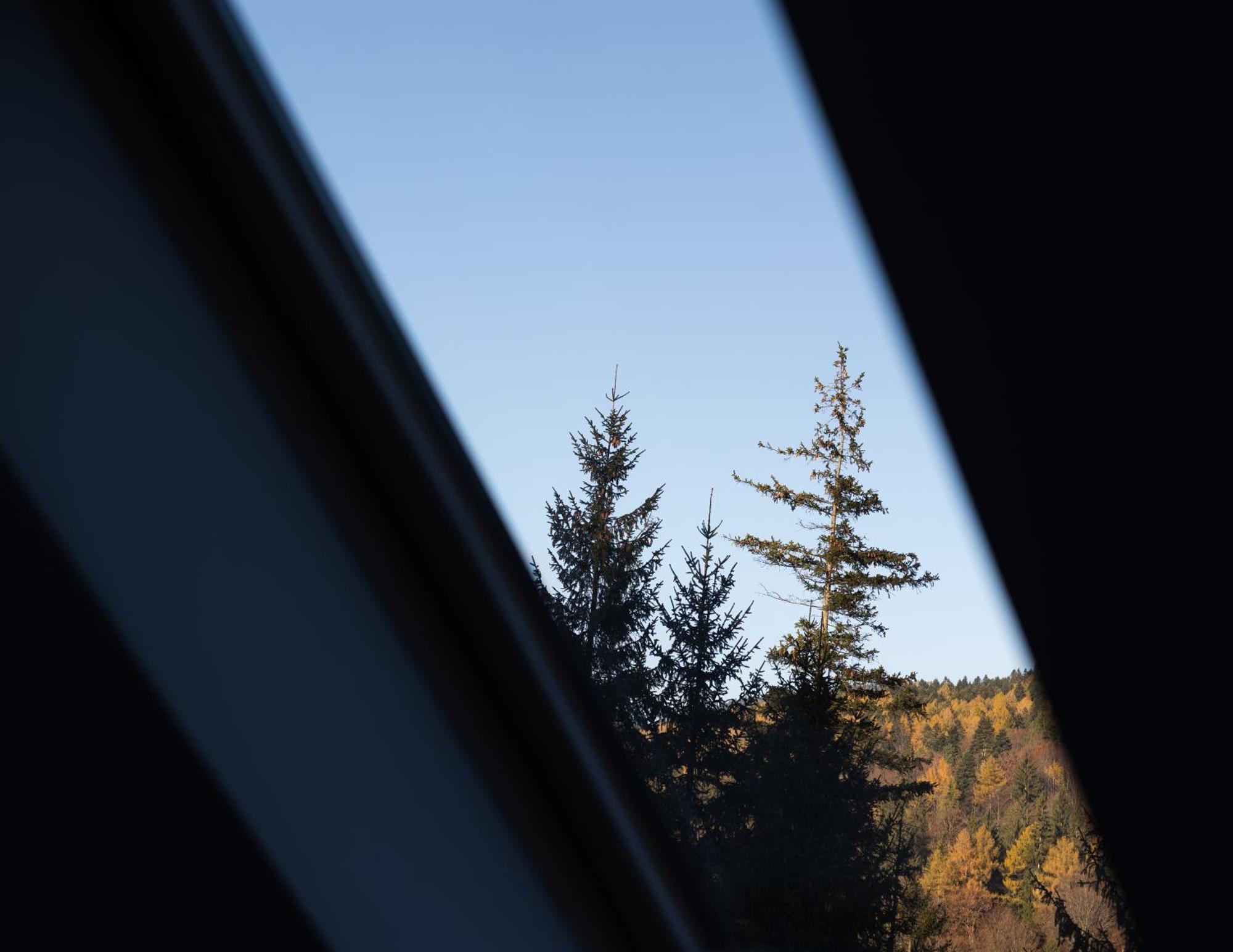 Impala Sinaia - Springbok Διαμέρισμα Εξωτερικό φωτογραφία